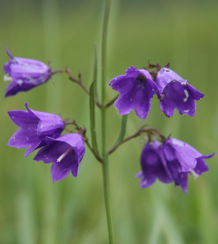  photo 36_zps155f77cf.jpg