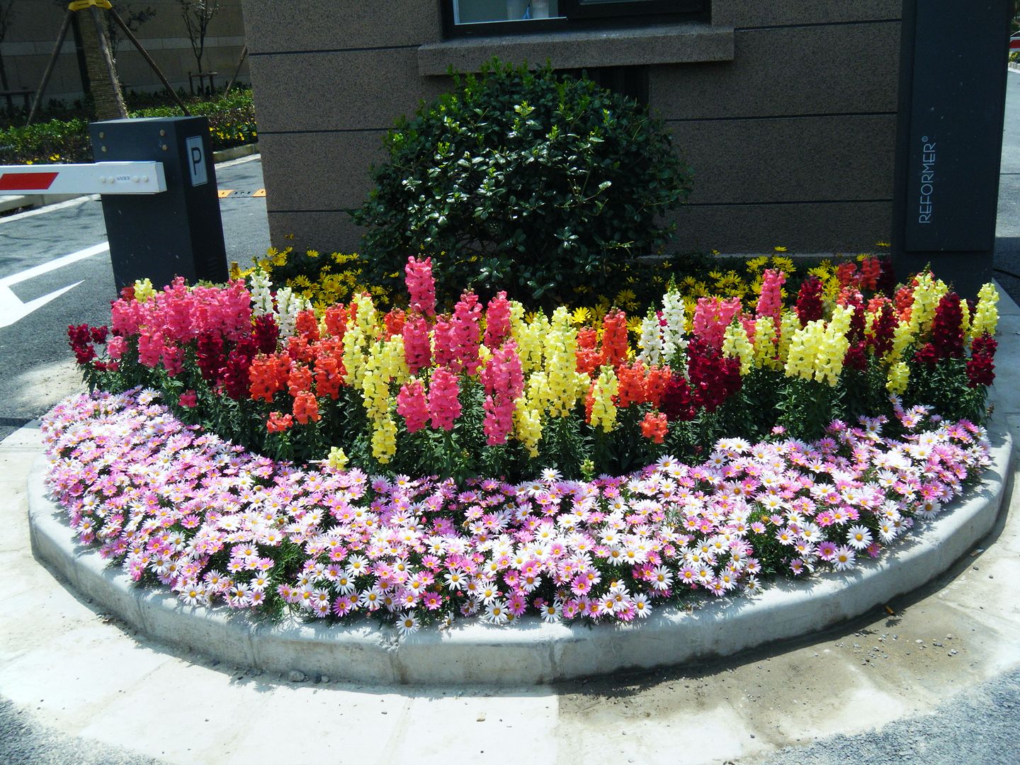  photo 36_zps22f5e1f5.jpg