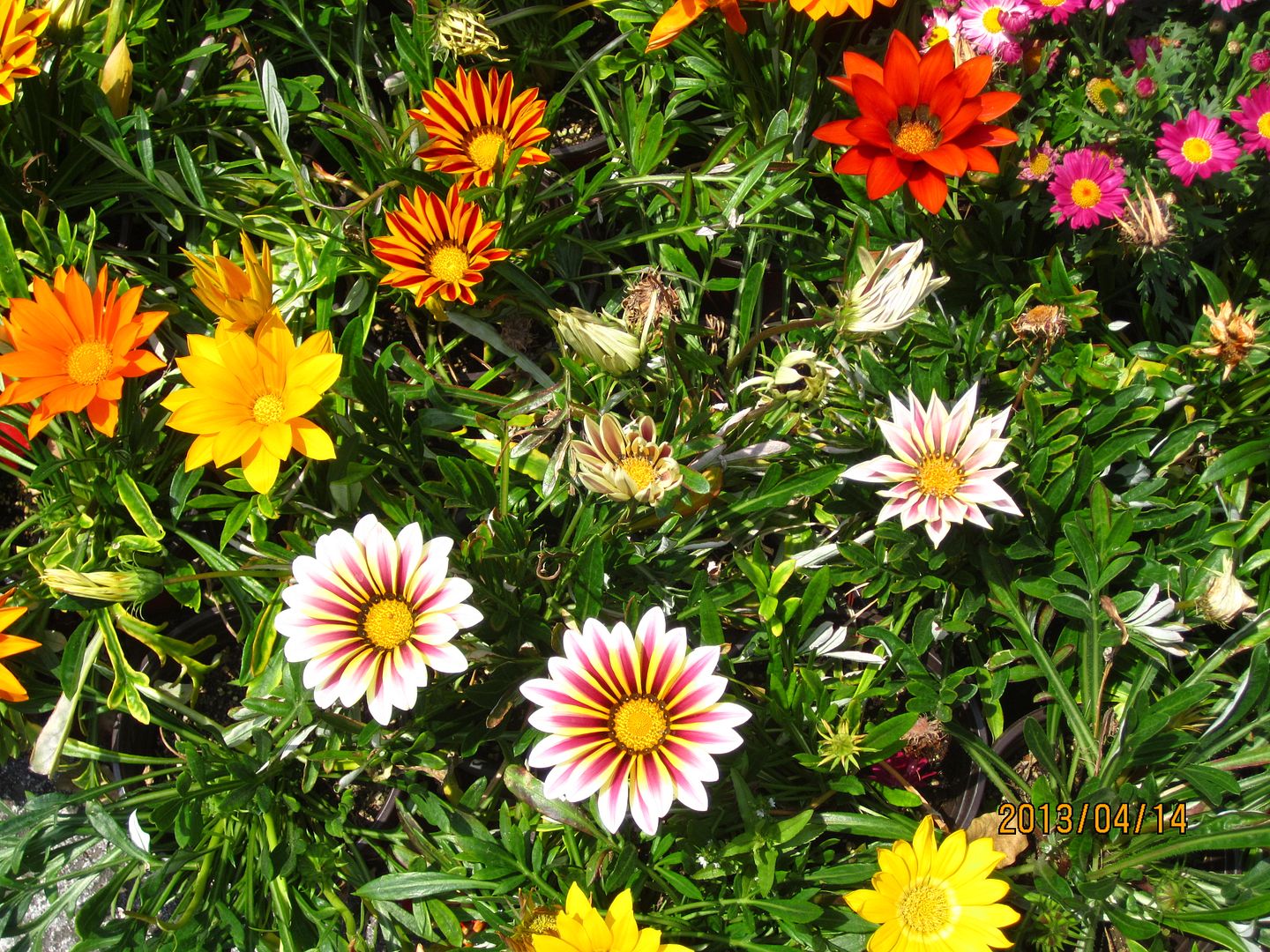  photo 37_zps01ac3b7f.jpg