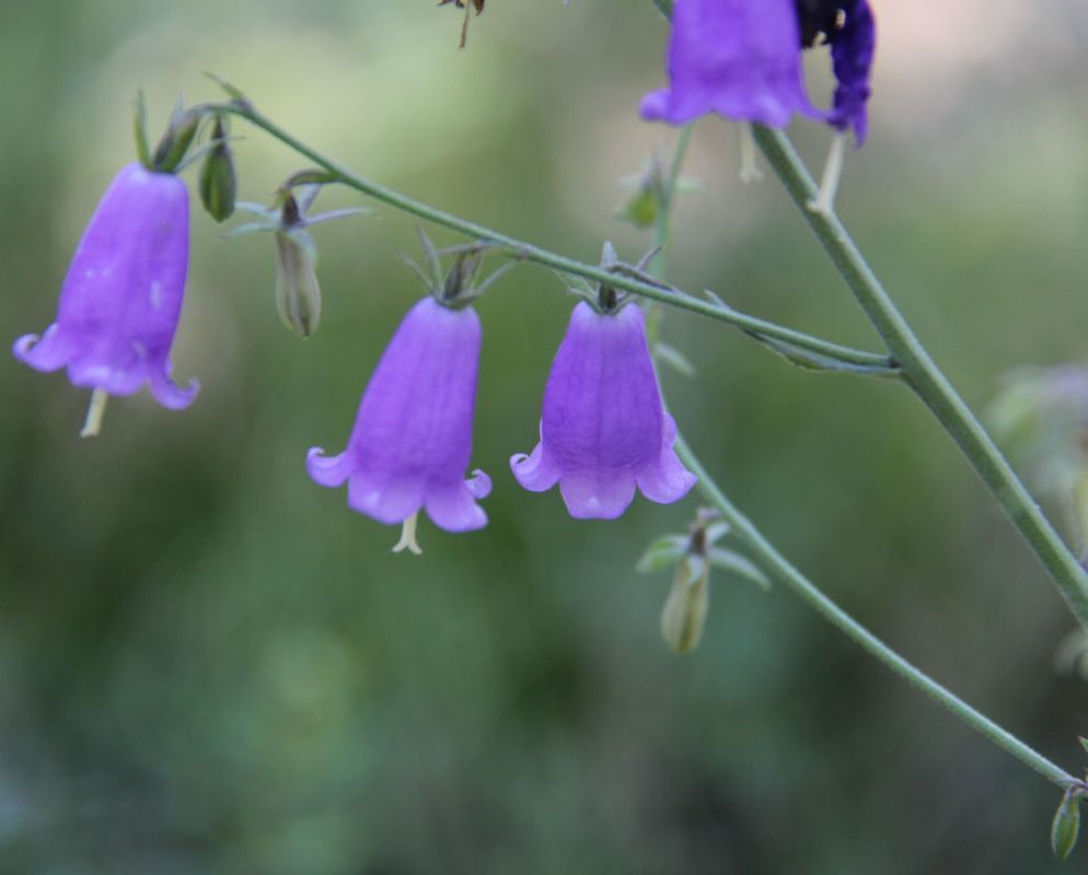  photo 37_zpscaef3d56.jpg