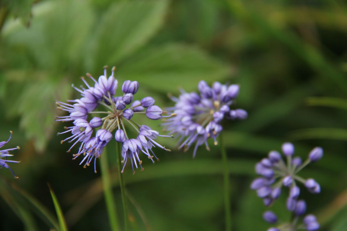  photo 38_zps7f7b28a6.jpg