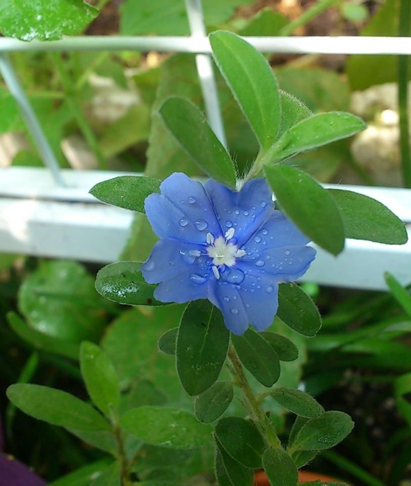  photo 3_zps33dc16b4.jpg