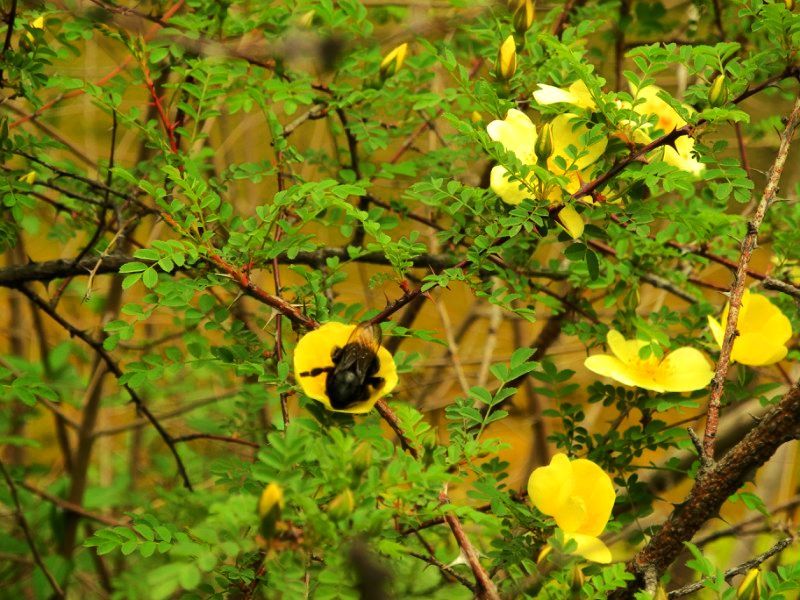  photo 3_zps407b78e6.jpg