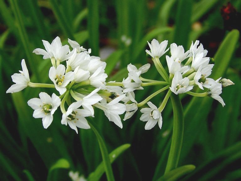  photo 3_zps5687c25e.jpg