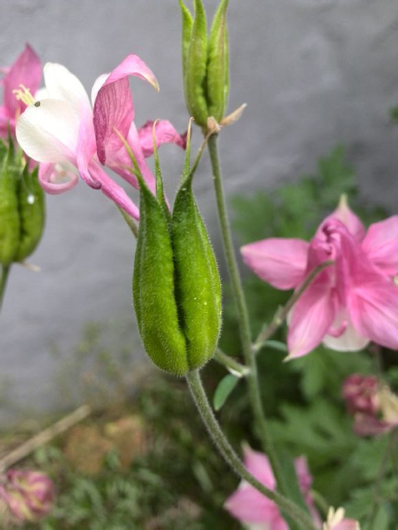  photo 3_zps574eddee.jpg