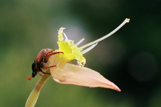  photo 3_zps5d4311e2.jpg