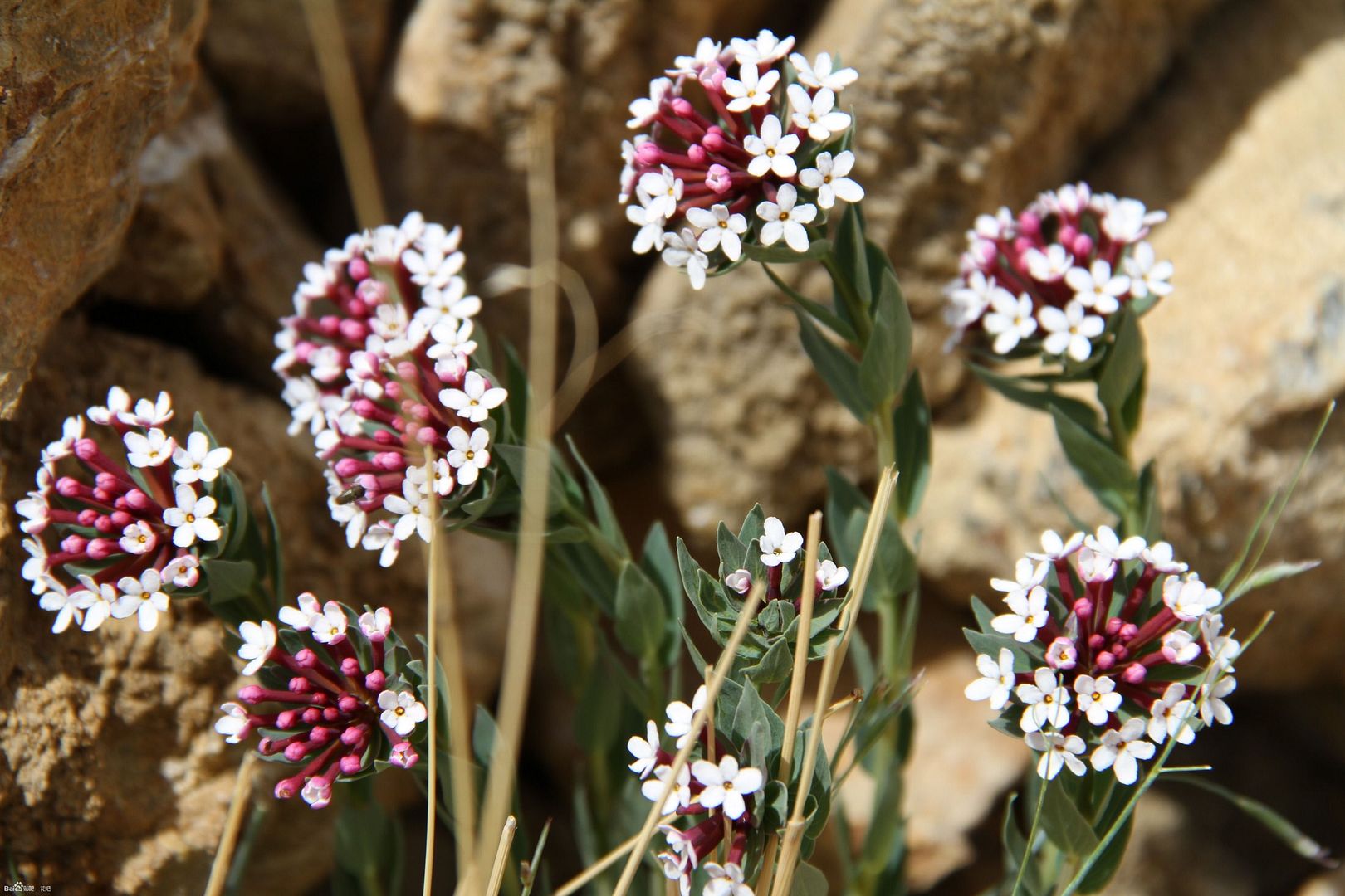  photo 3_zps75f4d92f.jpg