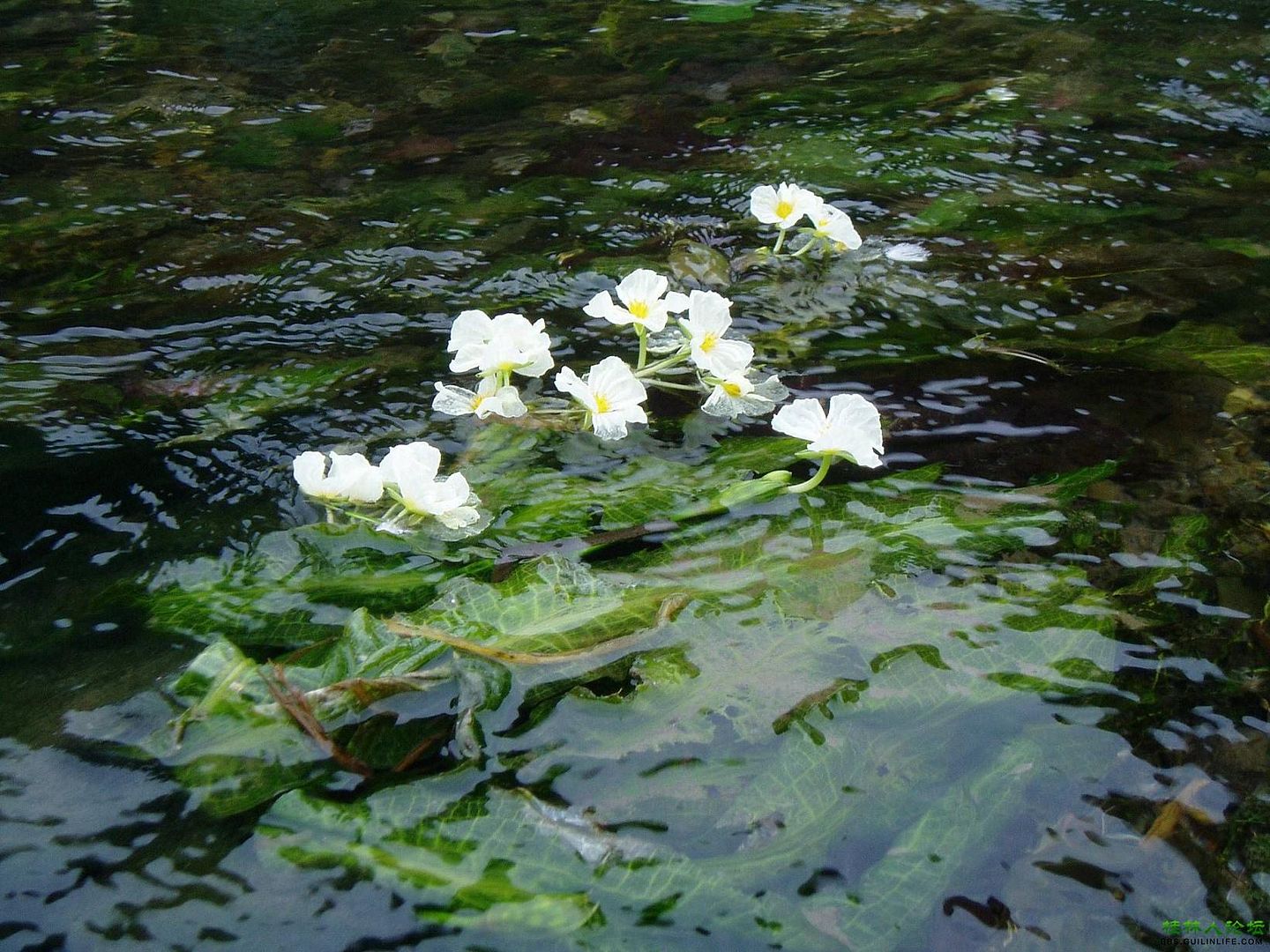  photo 3_zps799239e9.jpg