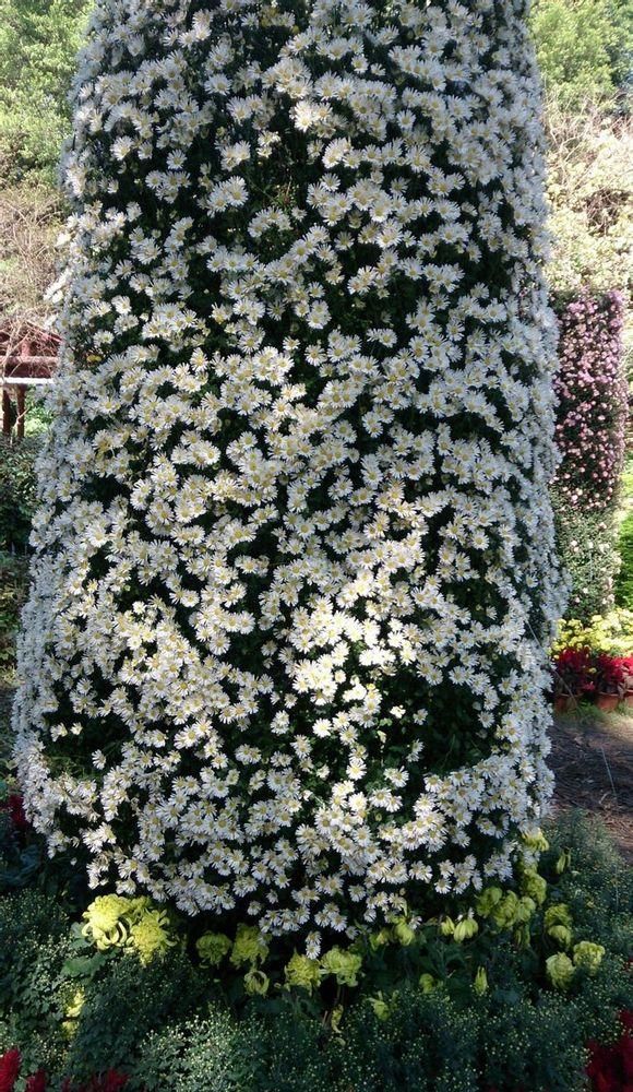  photo 3_zps81fddc54.jpg