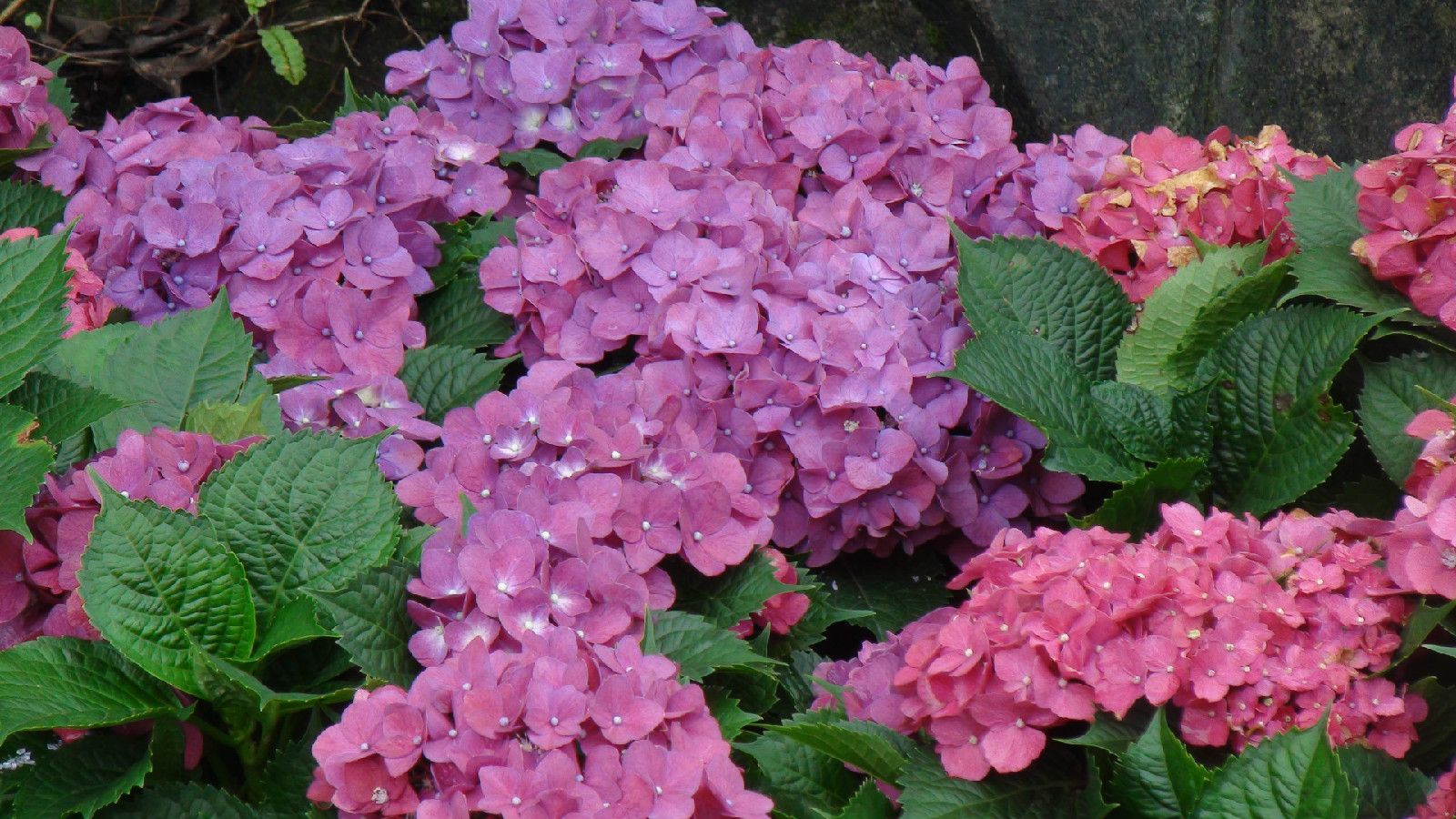  photo 3_zps9f34303c.jpg