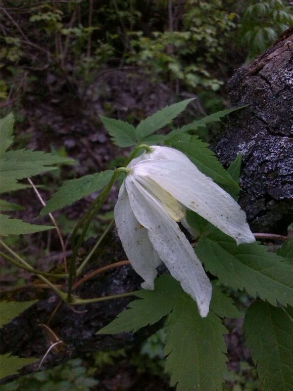  photo 3_zpsacf9c0ed.jpg