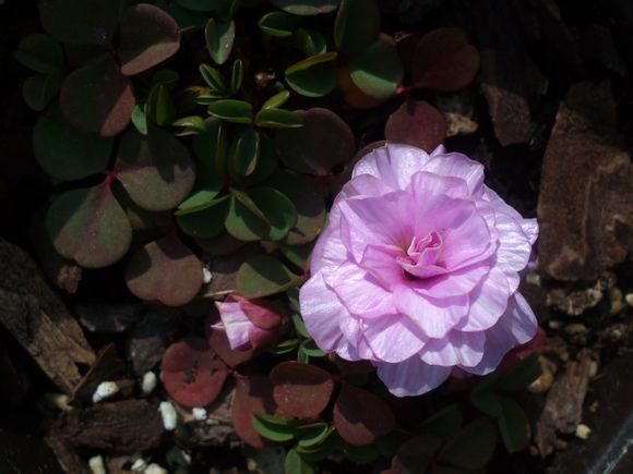  photo 3_zpsec566e6a.jpg