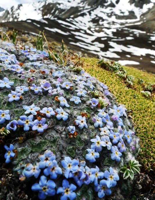  photo 3_zpsf89048e0.jpg