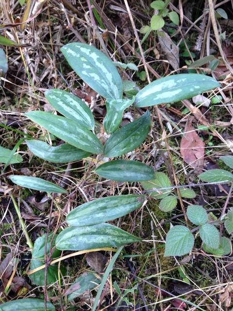  photo 3_zpsff4fe842.jpg