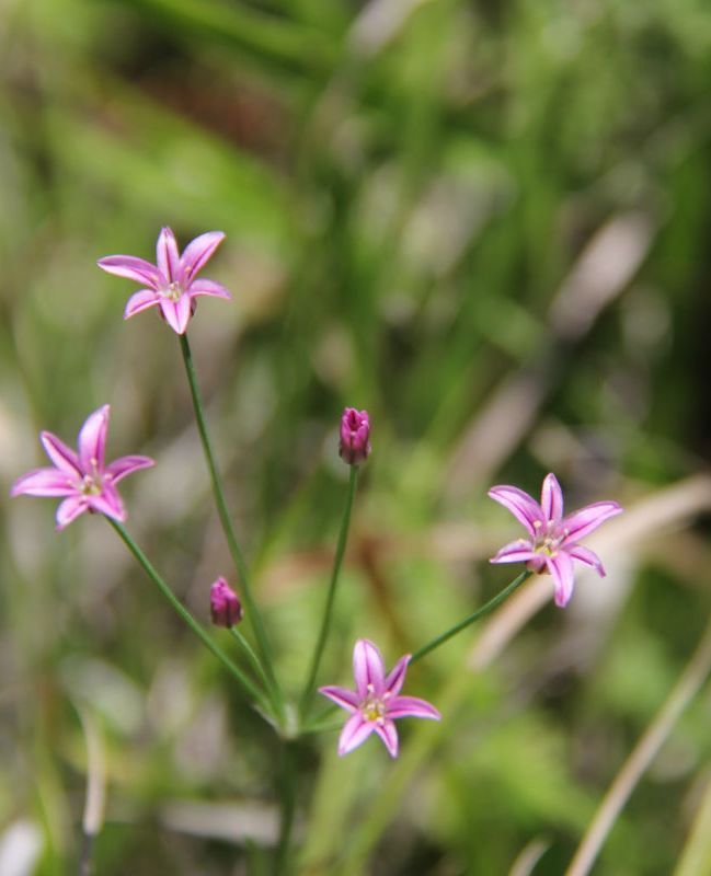  photo 43_zpsc56e9aa7.jpg