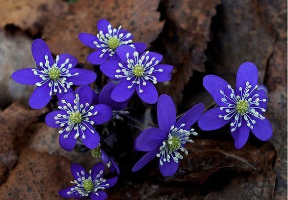  photo 44_zps0557298a.jpg