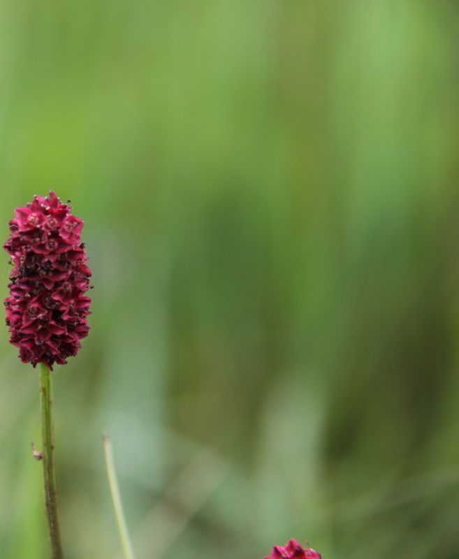  photo 44_zpscb638490.jpg