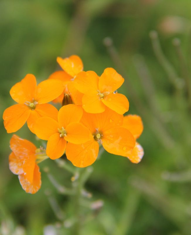  photo 45_zps23a2a459.jpg