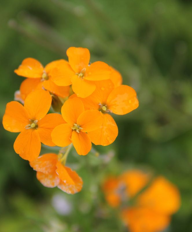  photo 46_zps31f0520a.jpg