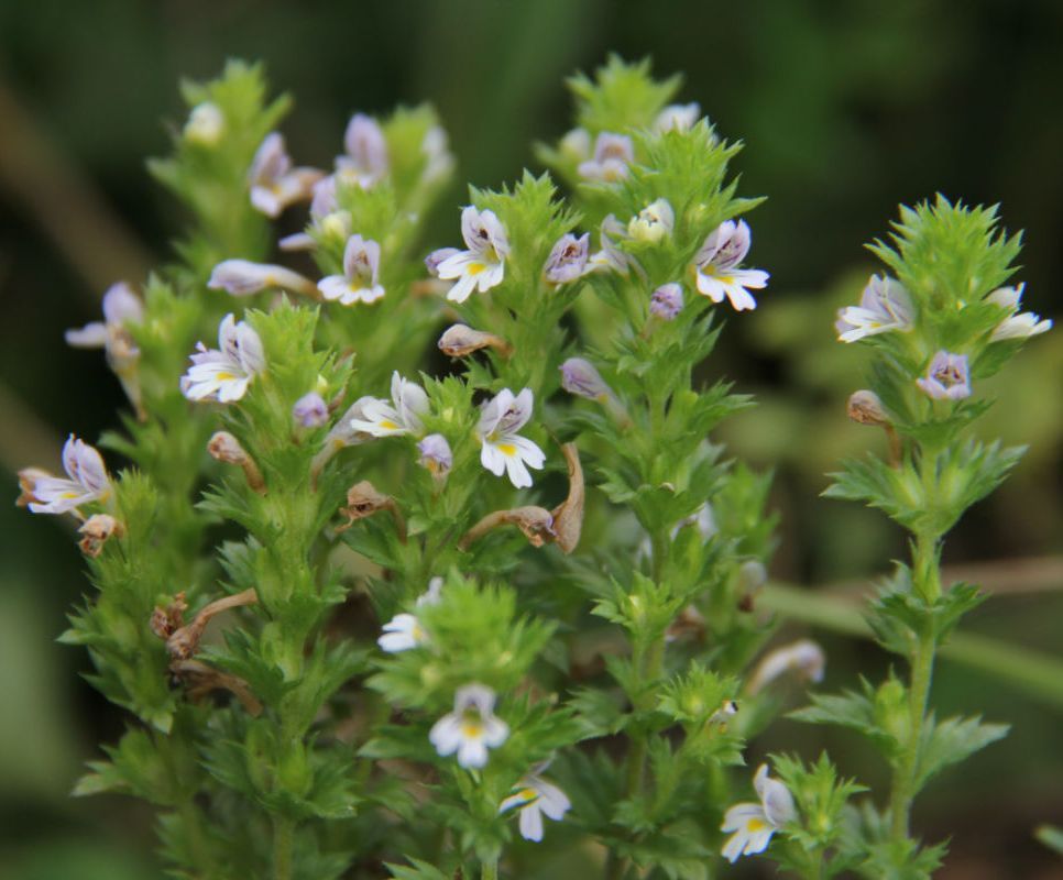  photo 47_zps089508f7.jpg