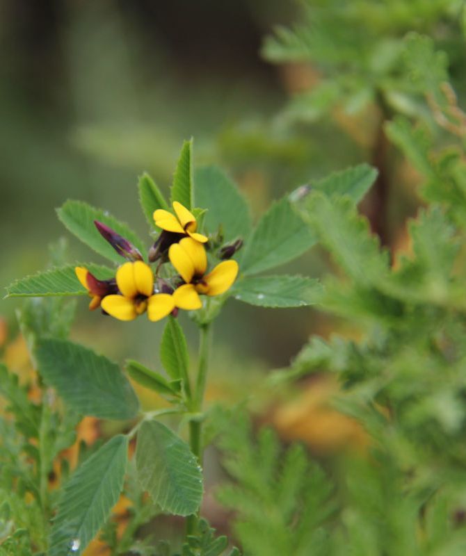  photo 48_zps10ada1ee.jpg