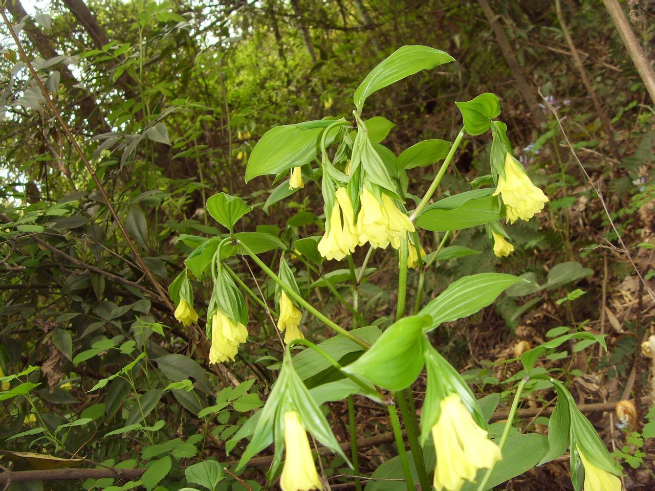  photo 48_zpsae276268.jpg