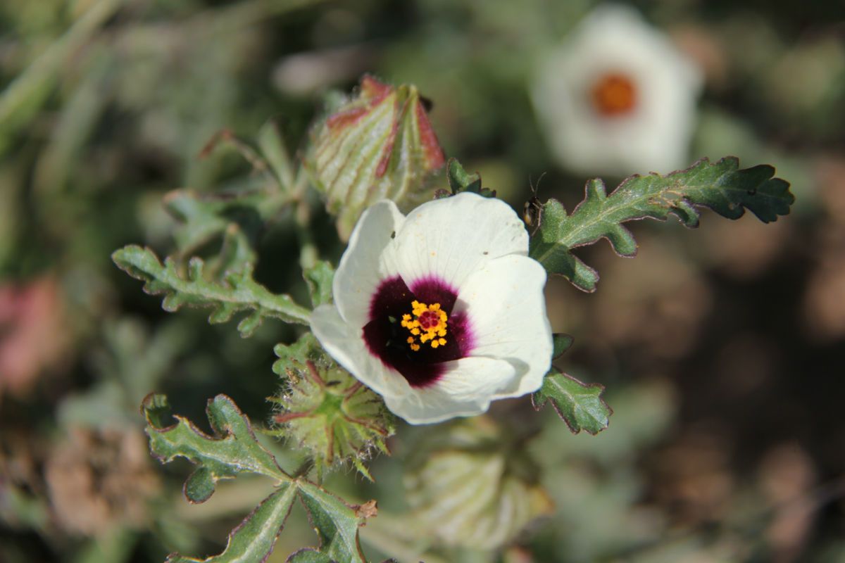  photo 49_zps1f8f7247.jpg