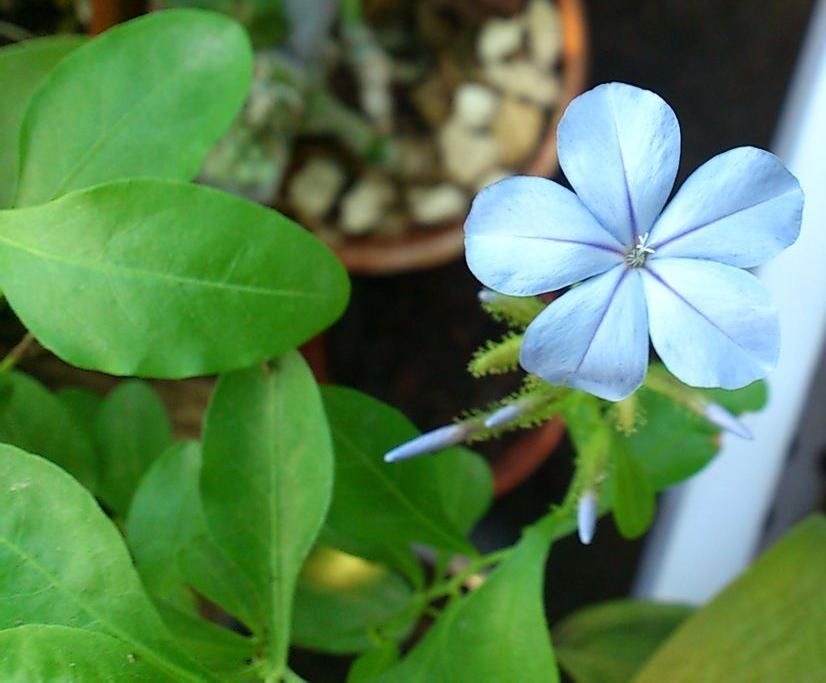  photo 4_zps210d542f.jpg