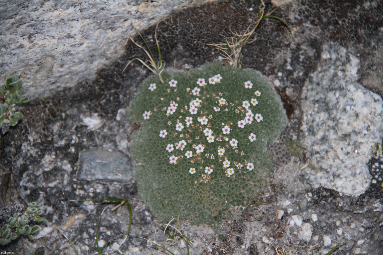  photo 4_zps50383fb9.jpg