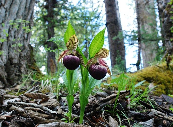  photo 4_zps75b687a4.jpg