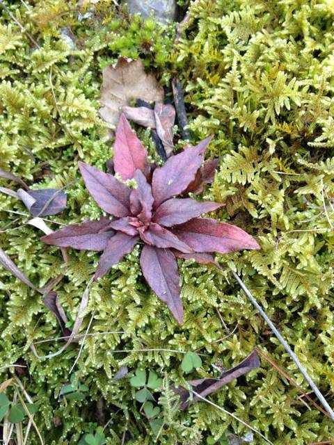  photo 4_zps8fbc2778.jpg