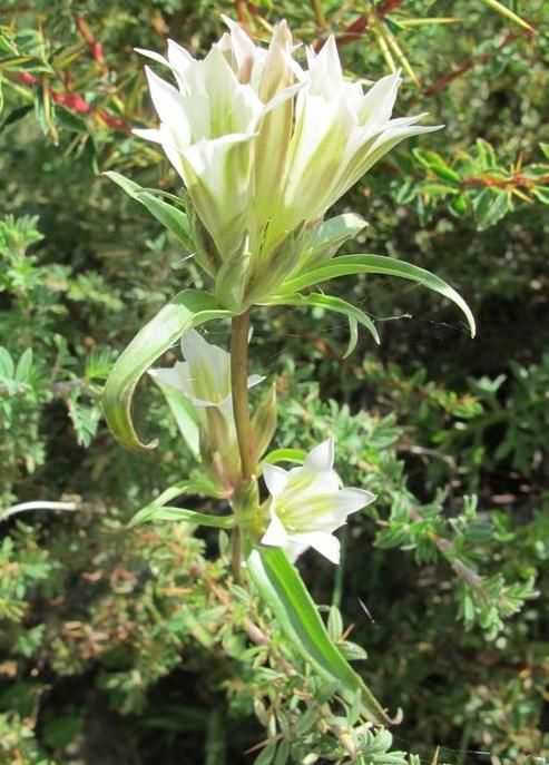  photo 4_zpsa9ba4e1e.jpg