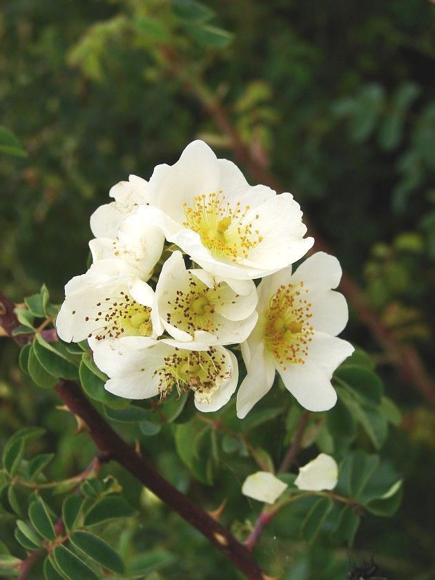  photo 4_zpsb27302e3.jpg