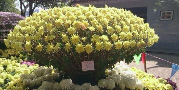  photo 4_zpsc03d1c81.jpg