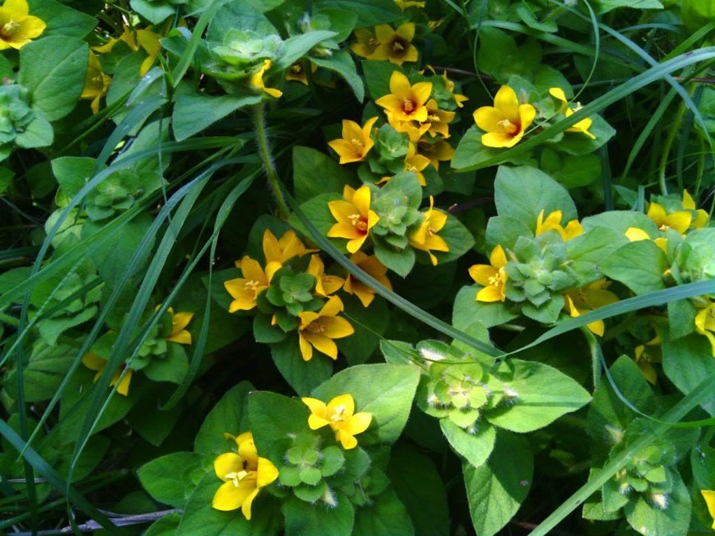  photo 4_zpsd14d1084.jpg