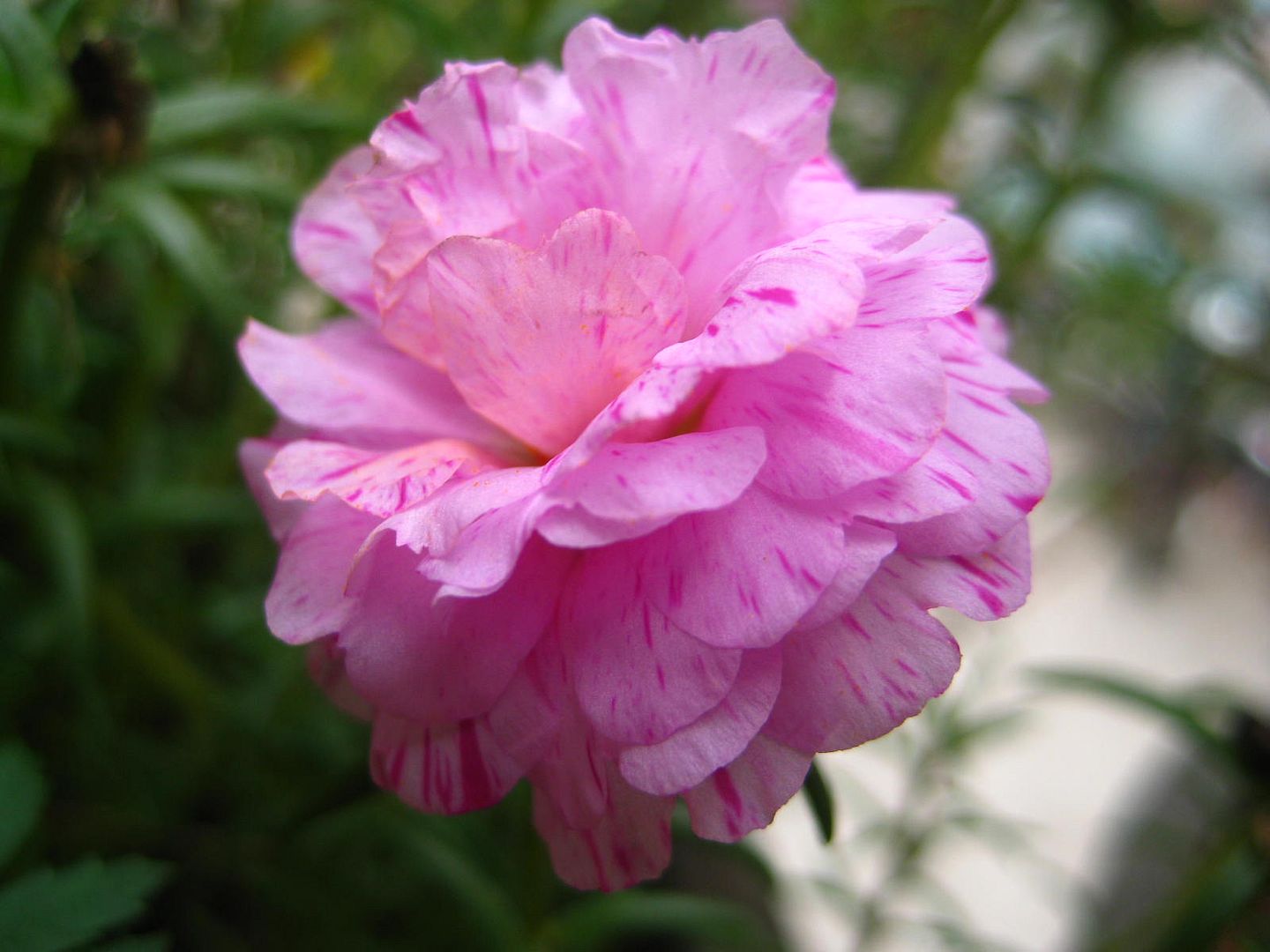  photo 4_zpsdf244f0e.jpg