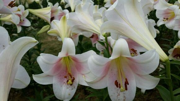  photo 4_zpsee62fa68.jpg