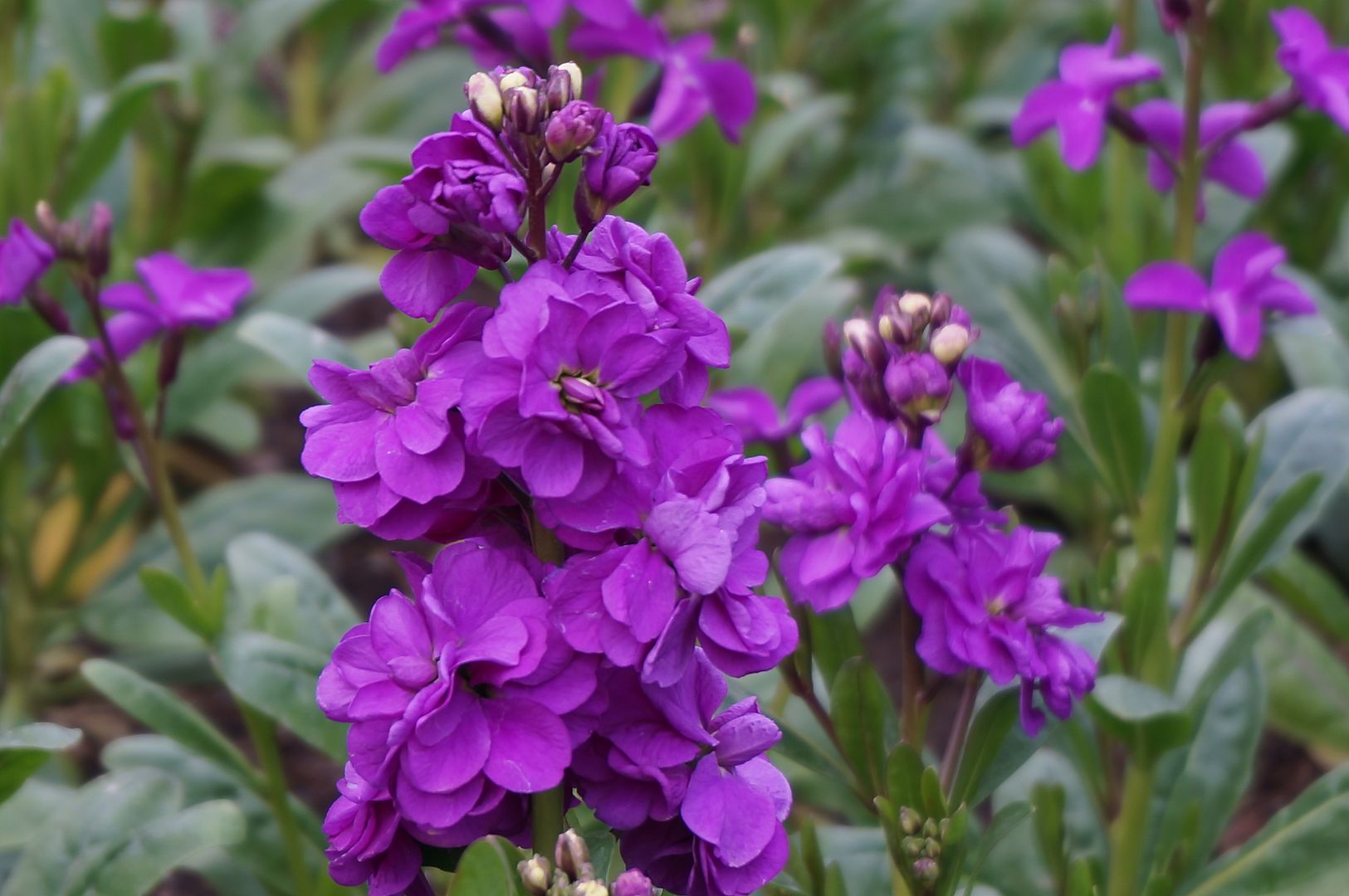  photo 4_zpsfa13765c.jpg