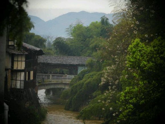  photo 4_zpsfb750b6d.jpg