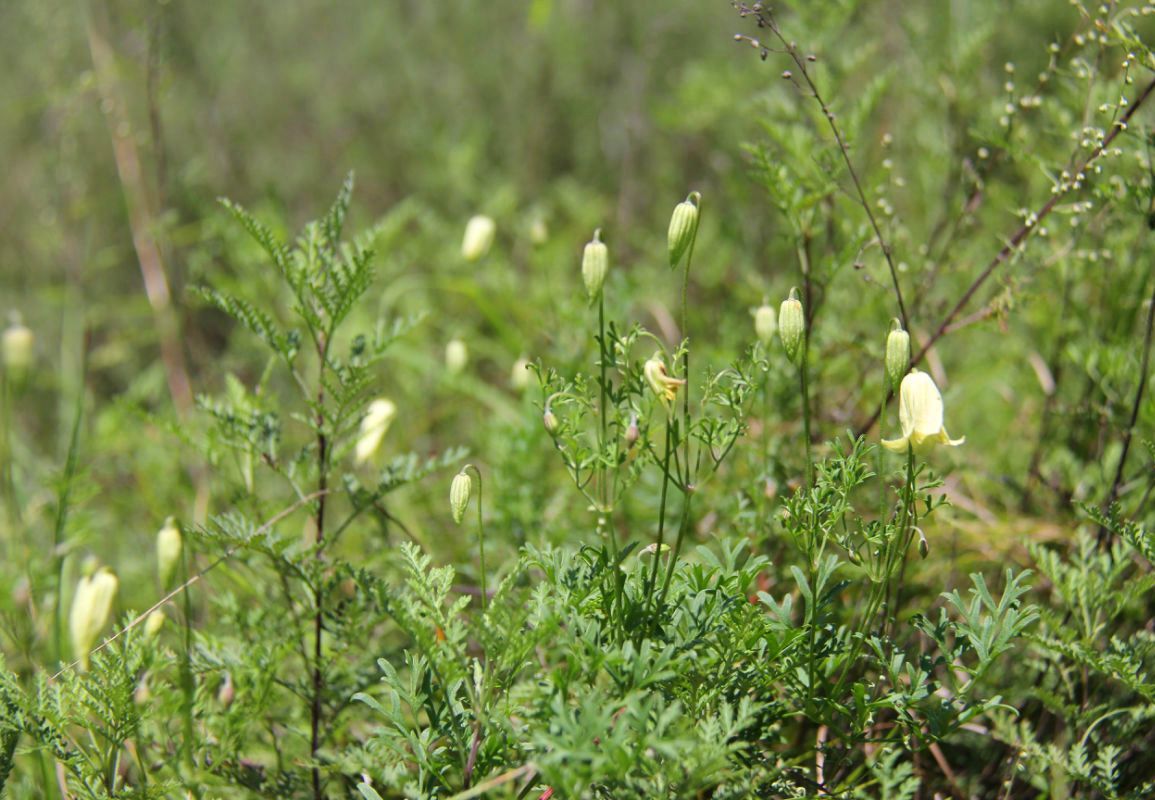  photo 50_zps54e537a8.jpg