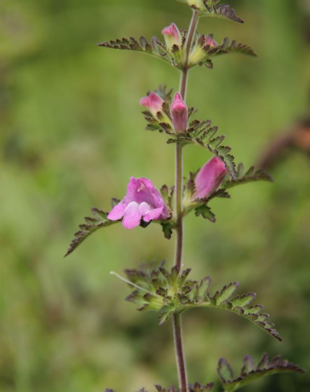  photo 53_zps1d75ac1a.jpg