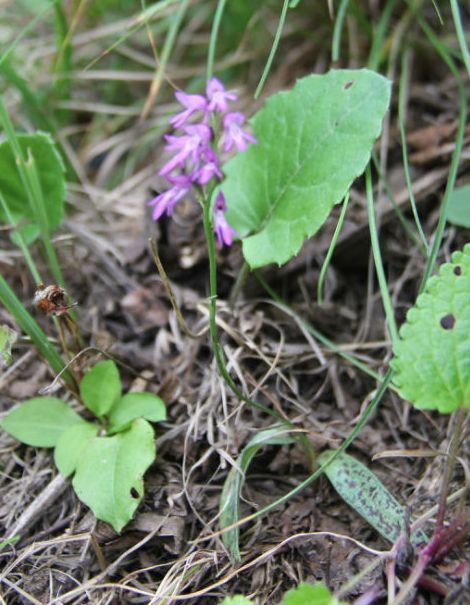  photo 55_zps6b6c4b2c.jpg