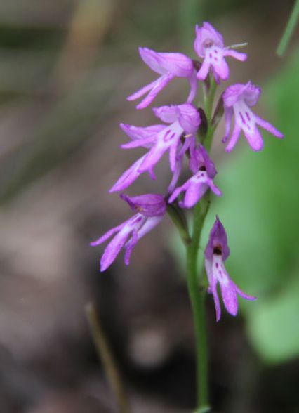  photo 56_zps0ea136ba.jpg