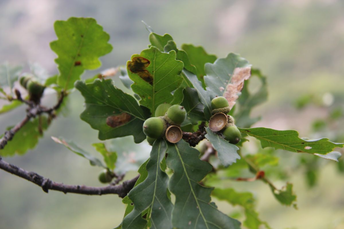  photo 57_zpsfe644c92.jpg