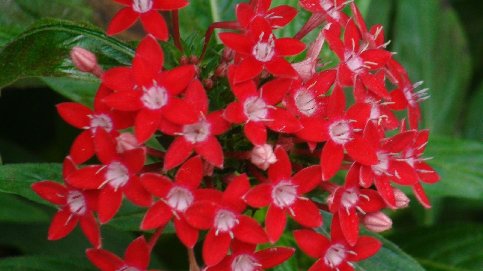  photo 5_zps0e54f1d8.jpg