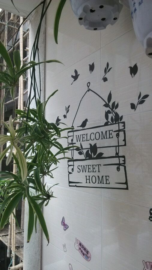  photo 5_zps51b90a37.jpg