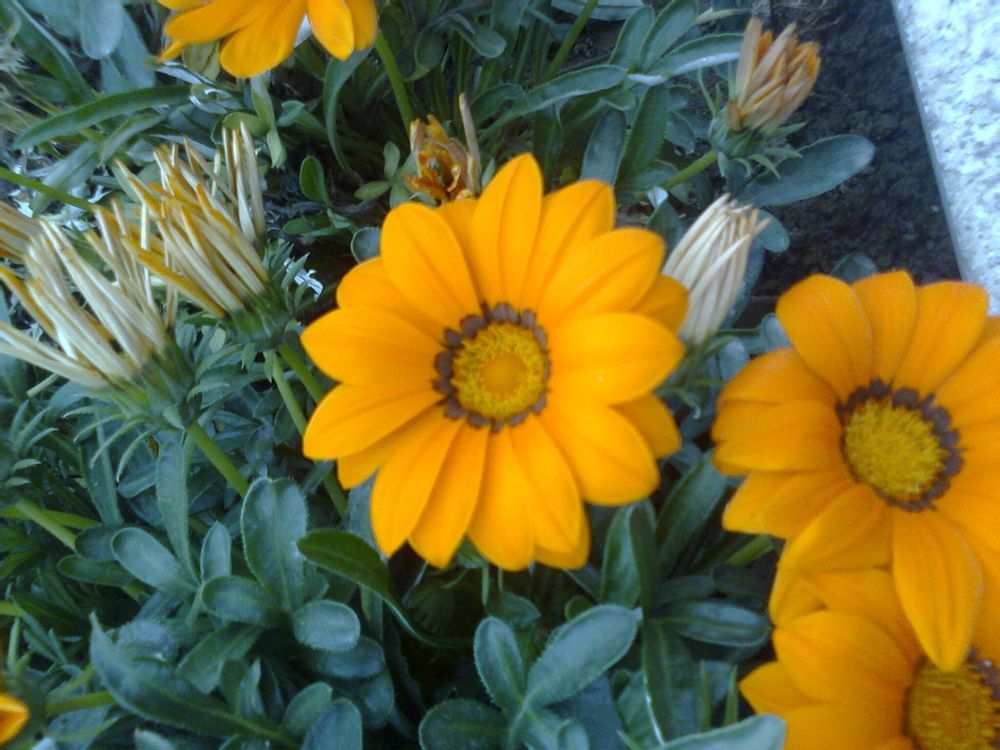  photo 5_zps8b4afbbe.jpg