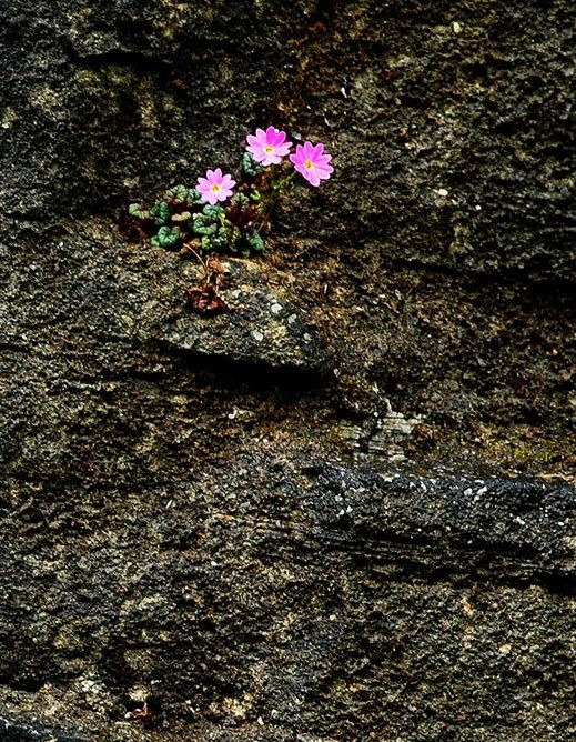  photo 5_zps9849babf.jpg