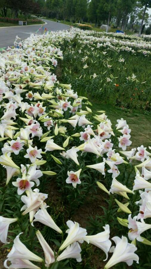  photo 5_zpsb7e8f7b9.jpg