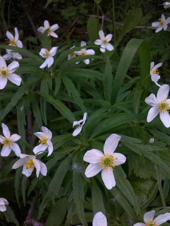  photo 5_zpse60f34c1.jpg